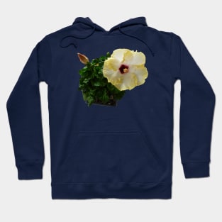 Yellow and white hibiscus flower Hoodie